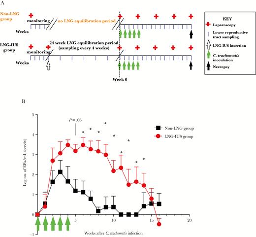 Chlamydia trachomatis bacterial burden between baboons with and those without the levonorgestrel (LNG)–releasing intrauterine system (LNG-IUS). A, Baseline monitoring, equilibration, infection, and sampling schematic. All animals had 4 weeks of baseline monitoring with laparoscopic examination, followed by weekly sampling of the lower female reproductive tract. Baboons randomly assigned to the LNG-IUS group had a 24-week equilibration period, with sampling every 4 weeks before infection at week 0. Baboons in the non-LNG group did not have the 24-week IUD equilibration period and were inoculated with C. trachomatis immediately after the baseline monitoring period. All infected animals received 5 cervical inoculations of 1 × 107 inclusion-forming units of serovar E C. trachomatis. During the infection period, animals had samples collected noninvasively each week and were monitored laparoscopically every 4 weeks until necropsy at 16 weeks after infection. B, Quantitative nucleic acid amplification testing was performed weekly during infection on cervical samples obtained from animals. Green arrows indicate the multiple inoculation time course. Data are for 6–7 animals per time point. EB, elementary body. *P < .05.