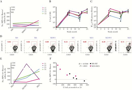 The magnitude of the memory B-cell response inversely correlates with preexisting antibody (Ab) titers. A, Absolute numbers of human papillomavirus type 16 (HPV-16)–positive memory B cells (Bmem) in blood prior to administration of the third quadrivalent HPV vaccine (4HPV) dose at study month 6 (M6) and at 1 week and 1 month postvaccination (M6W1 and M7). Absolute numbers were calculated by multiplying the frequencies of the gated populations together with the absolute number of enriched B cells used in the experiment and normalizing to 1 million B cells. B, Binding anti–HPV-16 immunoglobulin G (IgG) levels in plasma over time are expressed in U/mL relative to an international serum standard. n ≥ 5 experiments. C, Neutralizing anti–HPV-16 Ab titers are estimated by the plasma dilution at which half-maximal viral inhibition occurred in vitro. n ≥ 2 experiments. Month 24 is represented by a tick to the right of month 12. D, Dot plots showing a representative HPV-16+ Bmem response from subject 13 to the third dose at M6 and a booster 4HPV dose at M24. Numbers associated with the red inset indicate the percentage of HPV-16+ Bmem. CD20 is a B-cell marker. E, Absolute numbers of HPV-16+ Bmem in blood on the day the booster dose was administered at month 24 (M24) and at 1 week and 1 month postvaccination (M24W1 and M25). F, The changes (mostly increases) in numbers of HPV-16+ Bmem from M6 to M7 in response to the third dose (black dots) or from M24 to M25 in response to the booster dose (pink dots) were inversely correlated with preexisting binding anti–HPV-16 IgG titers at the time of vaccination. Pearson correlation. n = 4 human subjects. Abbreviations: Bmem, memory B cell; HPV-16, human papillomavirus; IC50, plasma dilution at which pseudovirus infection was inhibited by 50%; SD, standard deviation.