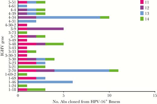 Heavy chain variable gene usage of human papillomavirus type 16 (HPV-16)–specific memory B cells (Bmem). The predicted germline heavy chain variable genes (IGHV) of neutralizing monoclonal antibodies (Abs) cloned from HPV-16+ Bmem are shown on the y-axis. The number of Bmem utilizing a given IGHV for each subject is shown on the x-axis. For example, in the case of IGHV5-51, 1 HPV-16+ Bmem each from subjects 11, 13, and 14 were predicted to have utilized this heavy chain variable gene.