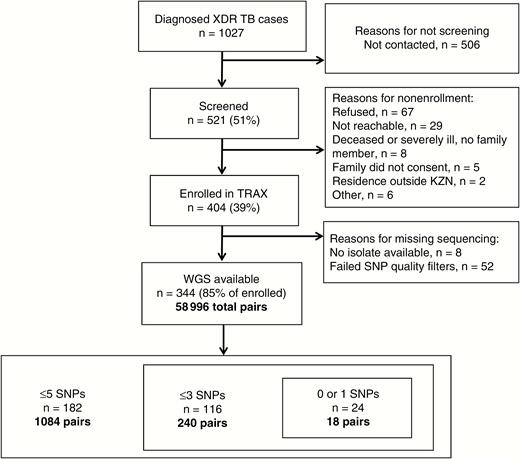 Study flowchart. Abbreviations: KZN, KwaZulu Natal; SNP, single-nucleotide polymorphism; TRAX, Transmission of HIV-Associated XDR-TB study; WGS, whole-genome sequencing; XDR-TB, extensively drug-resistant tuberculosis.