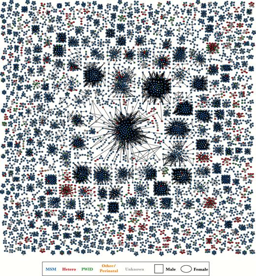 New York City HIV-1 surveillance molecular transmission network. Clusters with ≥5 cases (ie, nodes) are depicted. Links (ie, edges) indicate genetic distance ≤0.015 substitutions/site. Color indicates transmission risk factor and shape indicates birth sex. Abbreviations: Hetero, heterosexual; MSM, men who have sex with men; PWID, persons who use injection drugs.