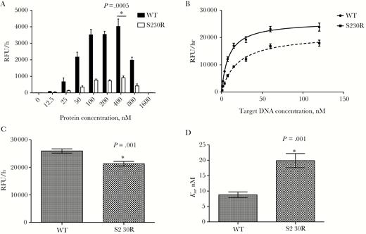 Mean strand-transfer activities (±standard errors of the mean) of purified recombinant wild-type integrase (WT) and integrase bearing the S230R substitution (S230R). *P < .05 compared to WT, by the Student t test (OpenEpi Toolkit). A, Strand-transfer activity in the presence of 20 nM target DNA and increasing concentrations of purified integrases. For each protein concentration, assays were performed twice independently, in triplicate, yielding 6 independent values. B, Strand-transfer activity in the presence of 400 nM purified WT or S230R integrase and increasing concentrations of target DNA. For each protein, assays were performed 3 times independently, in triplicates, yielding 9 independent values for each target DNA concentration and protein. C, Calculated maximum strand-transfer activities (Vmax) for WT and S23OR integrases, using protein concentrations specified in panel B. D, Half of the concentration of DNA necessary to reach Vmax (Km) for purified WT and S23OR integrases, using values from panel B.