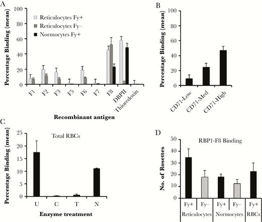 Erythrocyte-binding properties of recombinant reticulocyte binding protein 1a (rRBP1a). Recombinant RBP1 antigens binding to different red blood cell types (A), different reticulocyte subtypes (B), and enzyme-treated red blood cells (C), as revealed by flow cytometry. Recombinant Duffy binding protein II (DBPII) and thioredoxin were used as positive and negative control antigens, respectively. Bars show mean percentages of different red blood cells with bound antigen. D, COS7 cell surface–expressed RBP1:F8 binding to reticulocytes, reticulocyte-depleted erythrocytes (normocytes), and total red blood cells (RBCs). Bars represent the number of rosettes in 30 microscope fields at 20× original magnification. Error bars represent SDs from 2 independent experiments. C, chymotrypsin; Fy-, Duffy-negative cells; Fy+, Duffy-positive cells; N, neuraminidase; T, trypsin; U, untreated.