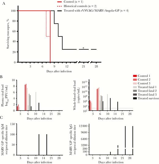 Postexposure treatment of macaques with a recombinant vesicular stomatitis virus vector expressing the Angola glycoprotein of Marburg virus (rVSV∆G/MARV-Angola-GP) was incompletely protective against a 1000–plaque-forming unit (PFU), high-dose challenge of MARV variant Angola. A, Kaplan-Meier survival curves of treated subjects (solid black line), compared with untreated historical controls (segmented red line) and an untreated control (solid red line). *P ≤ .05 for the difference between the treated group (n = 4) and the control group (n = 3). B, MARV viremia 3, 6, 10, 14, 21, and 28 days after challenge, assessed by plaque assay (left) and quantitative reverse transcription polymerase chain reaction (RT-qPCR) analysis (right). Red and pink bars represent each of the 3 controls, and gray and black bars denote individually treated macaques. The limits of detection are 25 PFU/mL for the plaque assay and 1000 copies/mL for the RT-qPCR assay (dotted line). C, Reciprocal end point dilution titers of anti-MARV GP immunoglobulin M (IgM; left) and immunoglobulin G (IgG; right) in serum specimens obtained from control and treated subjects 3, 6, 10, 14, 21, and 28 days after challenge. Nonsurvivors were serologically negative; therefore, only the treated survivor (black bar) is depicted. Abbreviation: ∆G, VSV in which the native GP is absent.