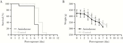 Effect of amiodarone treatment in guinea pigs infected with guinea pig-adapted Mayinga variant of Ebola virus (EBOV/May-GPA). Guinea pigs (n = 15, 8 female and 7 male) received once-a-day oral treatment with 160 mg/kg amiodarone starting 3 days before virus challenge; the control group (n = 15, 8 female and 7 male) was treated with water in parallel. All animals were challenged on day 0 intraperitoneally with 3620 plaque-forming units of EBOV/May-GPA strain and monitored for survival (A) and weight (B).
