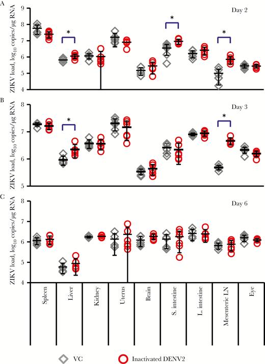 Comparison of tissue viral load of Zika virus (ZIKV) infection between control and inactivated dengue virus type 2 (DENV2)–immunized mice. AG129 mice were immunized with UV-inactivated DENV2-E and challenged with ZIKV as described in Figure 5. Mice were euthanized on days 2, 3, or 6 after infection, and spleen, liver, kidney, uterus, brain, small intestine (S. intestine), large intestine (L. intestine), mesenteric lymph node (LN), and eye specimens were collected to measure viral load. The average ZIKV loads (±SD) in various tissues on days 2 (A), 3 (B), and 6 (C) after infection were plotted. The number of mice per group was 6. VC, virus-infected control mice. *P < .05.