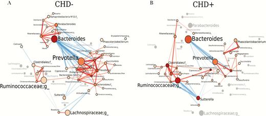 Co-occurrence gut microbiota network is different and less complex in human immunodeficiency virus (HIV)–infected people with coronary heart disease (CHD+) compared with HIV-infected people without coronary heart disease (CHD–). Gut microbiota networks are illustrated for CHD– (A) and CHD+ HIV-infected individuals (B). Genera are represented by nodes; edges indicate significant co-occurrences between genera. Genera are located at the same position in both plots. The size of each node indicates the average abundance of that genus in the corresponding group. Nodes are colored based on their degree, ie, the number of edges. The intensity of the red color of the nodes is increasing with the increase of the number of the genera’s edges. Genera that exhibit a significant co-occurrence only in 1 of the groups are colored in gray in the other group that lacks a co-occurrence partner. The diameters of the edges are weighted based on the absolute value of the co-occurrences and colored blue for negative correlations and red for positive correlations. Abbreviation: CHD, coronary heart disease.