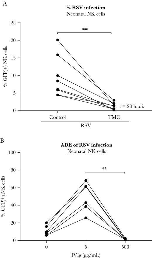 Neonatal natural killer (NK) cells are susceptible to respiratory syncytial virus (RSV) infection. Human neonatal NK cells were spinoculated with RSV-X-GFP7 (multiplicity of infection = 1). A, Percentage infected cells in absence or presence of a fusion inhibitor (TMC) as measured by flow cytometry. Data were pooled from 2 independent experiments and each set of paired data points represents an individual donor (n = 8). B, Percentage of infected cells after inoculation with RSV or RSV-antibody complexes (5 µg/mL or 500 µg/mL intravenous immunoglobulin). Data were pooled from 2 independent experiments and each set of paired data points represents an individual donor (n = 6). Wilcoxon signed-rank test was used for comparison between 2 conditions (***P < .001). Nonparametric Friedman test with Dunn multiple comparisons test was used for comparison between multiple conditions (**P < .01). Abbreviations: ADE, antibody-dependent enhancement; GFP, green fluorescent protein; IVIg, intravenous immunoglobulin; NK, natural killer; RSV, respiratory syncytial virus.