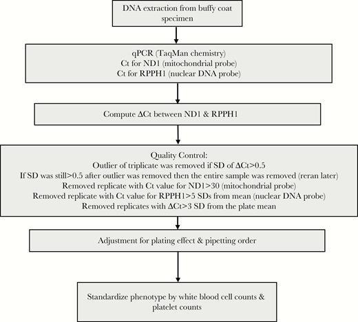 Procedures for determination of mitochondrial DNA copy number. Ct, cycle threshold; qPCR, quantitative polymerase chain reaction.