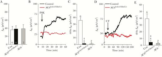 Adenylyl cyclase 6 (AC6) mediates forskolin (FSK) and cholera toxin (CT)–induced changes in short-circuit current (ISC) in intestinal mucosa. A, Ussing chamber experiments on small intestinal mucosa indicated that baseline ISC was not significantly different among control (Con, AC6loxlox) and AC6loxloxVillinCre mice. Data from a limited number of AC6–/– mice were also included as a comparison, but a statistical analysis of this data is excluded due to small number of observations. B, Representative traces of the effects of mucosal FSK (1 µmol/L) on ISC in control and AC6loxloxVillinCre mice. C, Summary of the FSK-induced changes in ISC in control and AC6loxloxVillinCre mice. D, Representative traces of the effects of luminal CT (10 µg/mL) on ISC in control and AC6loxloxVillinCre mice. E, Summary of the CT-induced changes in ISC in control and AC6loxloxVillinCre mice. Numbers associated to individual bars represent sample size “n.” Data were analyzed by unpaired Student t test. *P < .05 vs control. Data are expressed as mean ± standard error of the mean, except for AC6–/– mice (expressed as mean ± standard deviation).