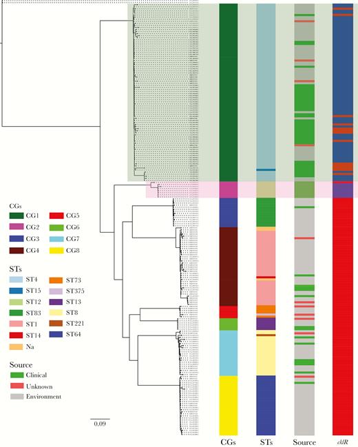 Whole-genome phylogeny of Cronobacter sakazakii. The maximum-likelihood phylogeny tree was constructed based on single-nucleotide polymorphisms across the whole genome excluding those resulting from recombinations (2 Cronobacter malonaticus strains were used as the outgroup). Clonal groups (CGs), sequence types (STs), and sources of strains are shown. The presence (blue) or absence (red) of cklR among these 209 C. sakazakii genomes is also shown. Light green background and pink background represent CG1 and CG2, respectively.