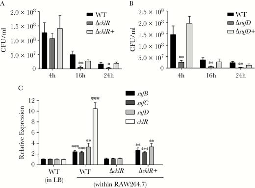 cklR and the suf operon are required for the survival of Cronobacter sakazakii within macrophages. (A and B) The survival of C. sakazakii was attenuated in RAW264.7 macrophage cells due to the absence of cklR and sufD. (C) Expression of sufB, sufC, sufD, and cklR in C. sakazakii wild-type (WT), ΔcklR, and ΔcklR+ strains within RAW264.7 macrophage cells or in Luria-Bertani medium, as revealed by quantitative reverse-transcription polymerase chain reaction. Data are presented as means ± standard deviation; n = 3 (Student’s t test: *, P < .05; **, P < .01; ***, P < .001).