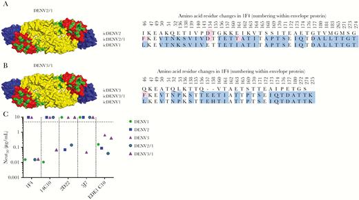 Characterization of dengue virus (DENV) serotype 1, 1F4 recombinant DENV used for mapping the DENV1 responses. Sequence alignments of DENV2/1 (A) and DENV3/1 (B). C, Monoclonal antibody neutralization of DENV2/1 and DENV3/1 compared to each parental strain in the U937+DC-SIGN assay. icDENV indicates DENV infectious clone.