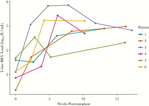 Posttransplant urine BK virus (BKV) DNA levels in recipients of BK viruric donors who developed BK viruria posttransplant. In the 6 recipients of donors who were BK viruric at time of transplant, posttransplant urine BKV DNA levels increased several log-fold during the first 2–4 weeks of transplant that sustained for at least the first 3 months after transplant. The other 3 transplant recipients of BK viruric donors did not develop posttransplant BK viruria or viremia (not shown).