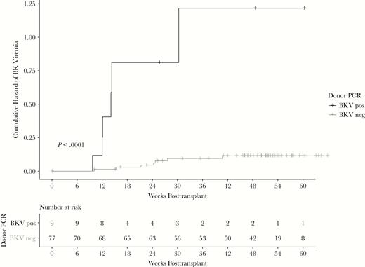Pretransplant donor BK viruria is associated with early posttransplant recipient BK viremia. Recipients of BK viruric donors were also more likely to develop BK viruria at 3 months (66.6% vs 8.9%; P < .001) and develop BK viruria earlier (log-rank test, P < .001) compared with kidney recipients from non-BK viruric donors. Abbreviations: BKV, BK virus; neg, negative; PCR, polymerase chain reaction; pos, positive.