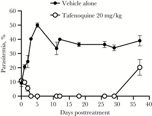 Parasite recrudescence in mice treated with a single dose of oral tafenoquine (TQ; 20 mg/kg). Parasite recrudescence was evident in all TQ-treated mice by day 37 posttreatment (smears were not performed on days 30–36). The percentage parasitemia after administration of TQ is shown as the mean and standard error for each group of mice.