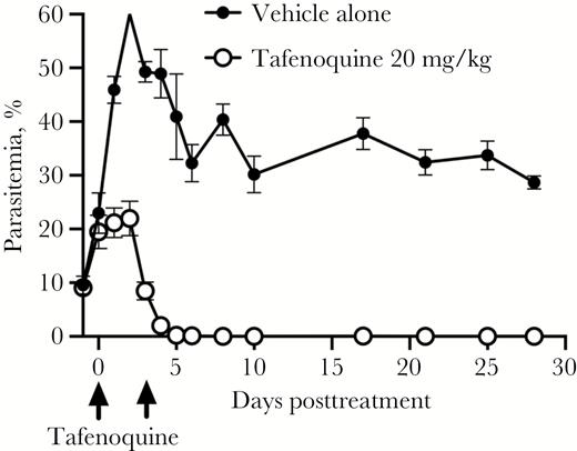 Oral tafenoquine (TQ) treatment on day 4 postinfection (25 mg/kg) with a repeat dose on day 7 postinfection (12.5 mg/kg) effectively eliminated parasitemia through day 28 posttreatment. Arrows mark the days the 2 doses of TQ were administered. Values for the mean percentage of parasitemia plus standard error are shown for each group of mice by day, pre- and posttreatment. Parasites were below the level of detection by day 5 after initiation of TQ treatment. Below detection represents a scan of 1000 red blood cells per slide. In contrast, parasitemia was detected in mice treated with vehicle throughout the experiment. There was a significant difference between the mean levels of parasitemia in TQ-treated and nontreated mice at all time points after day 0 when treatment was initiated (P < .0001, 2-way analysis of variance). Linear regression analysis indicated that the reduction in percentage of parasitemia post–TQ treatment was significant (P < .0001).