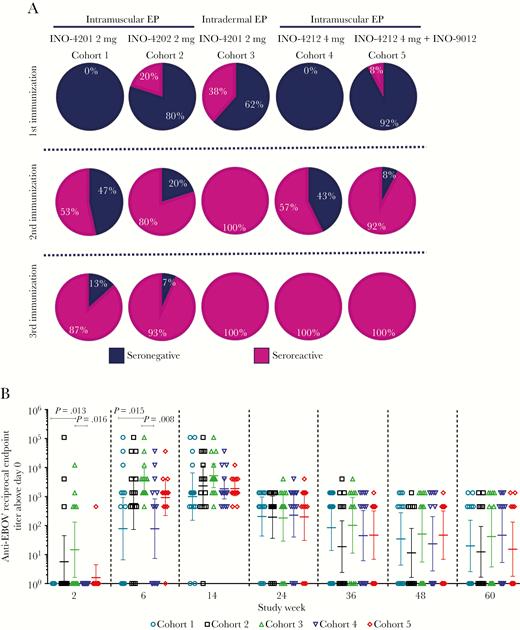Seroreactivity and total IgG antibody titers against EBOV GP. A, Seroreactive percentages following 1, 2, and 3 immunizations (up to n = 15 subjects per cohort). B, Anti-EBOV GP antibody end point titers. Open symbols represent the reciprocal end point titer of individual subjects 2 weeks following each immunization. Horizontal lines are at the GMT with error bars representing the 95% confidence intervals, from Wilcoxon rank-sum test. Abbreviations: EBOV, Ebola virus; EP, electroporation; GMT, geometric mean titer; GP, glycoprotein.