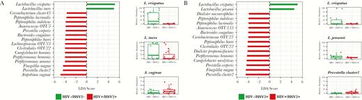 Statistical association analysis using linear discriminant analysis effect size (LefSe). Bacterial species with significantly differential abundance between dually infected human immunodeficiency virus (HIV)+/herpes simplex virus type 2+ (HSV-2+) and HIV−/HSV-2− women (A), and HIV−/HSV-2+ women (B) were identified using LEfSe. Features with linear discriminant analysis (LDA) score greater than 3.0 are shown. The inner boxplots show relative abundance of select species within groups compared by LEfSe.