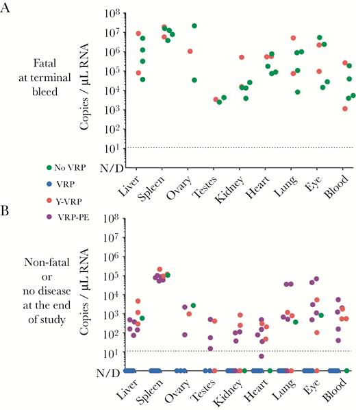 Lassa virus (LASV) ribonucleic acid (RNA) in tissues of infected guinea pigs. (A) The LASV RNA levels in animals that succumbed to disease. Tissue samples were collected at the time of euthanasia. (B) Residual LASV RNA levels in surviving animals at the end of the experiment (42 days after challenge). The LASV RNA was quantified by quantitative reverse-transcription polymerase chain reaction (qRT-PCR), and values are reported for each individual animal. Dashed line, quantification limit. The qRT-PCR data of each animal are summarized in Supplementary Table 1. N/D, not detected.