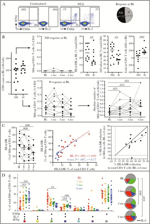 Evolution of Mycobacterium tuberculosis-specific CD4 T cells during the first 6 months of antiretroviral therapy (ART) in HIV-1 infected patients (n = 23). A, Representative flow plots of interferon-γ (IFN-γ), tumor necrosis factor-α (TNF-α), and interleukin-2 (IL-2) production in response to M. tuberculosis whole-cells lysate (WCL) and distribution of number of individuals exhibiting a detectable (D) or nondetectable (ND) response to M. tuberculosis WCL using flow cytometry at baseline (BL). B, Evolution of M. tuberculosis-specific (Mtb-sp) CD4 T-cell responses to ART in individuals with a detectable (D, n = 11) or nondetectable (ND, n = 12) M. tuberculosis response at BL. Comparison of the activation and memory profile of total CD4 T cells and CD4 cell gain (BL vs 6 months) between individuals with a detectable (D) or nondetectable (ND) M. tuberculosis response. C, HLA-DR profile in M. tuberculosis-specific CD4 T cells from baseline to 6 months ART and relationship with overall CD4 T-cell activation. D, Polyfunctional profile M. tuberculosis-specific CD4 T cells producing any possible combination of IFN-γ, TNF-α, and IL-2. Each slice of the pie corresponds to a distinct combination of cytokine. A key to colors in the pie charts is shown below the graph and the arc corresponds to the proportion of cells producing IL-2. Horizontal bars and boxes represent the median values and interquartile range, respectively. All statistical comparisons between groups were performed using a nonparametric Mann-Whitney test and correlations were assessed using the 2-tailed nonparametric Spearman rank correlation, and P values are given.