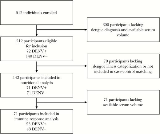 Selection criteria for included participants. DENV, dengue virus.
