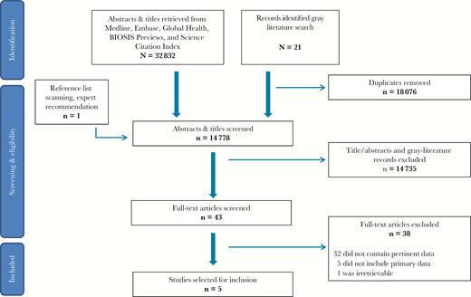 Preferred Reporting Items for Systematic Reviews and Meta-Analyses (PRISMA) diagram outlining the steps of this systematic review.