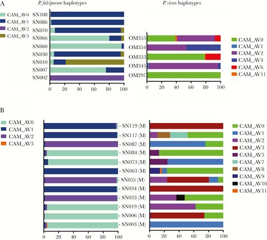 Percentage distribution of PfAMA1 and PvMSP1 haplotypes in the blood among mono-Plasmodium falciparum (Pf) and Plasmodium vivax (Pv) infections (A) and mixed Pf/Pv infections (B). Individual haplotypes (CAM_AV numbers) are represented by different colors, with width of bars corresponding to their within-host frequency (%) on the x-axis. Blood from 9 Pf, 5 Pv, and 12 Pf/Pv infections are shown. CAM_AV numbers refer to Cambodia_AnlongVeng, with number indicating the population prevalence of the haplotype (CAM_AV0 is the most common haplotype in the cohort, CAM_AV1 the next most common, etc).