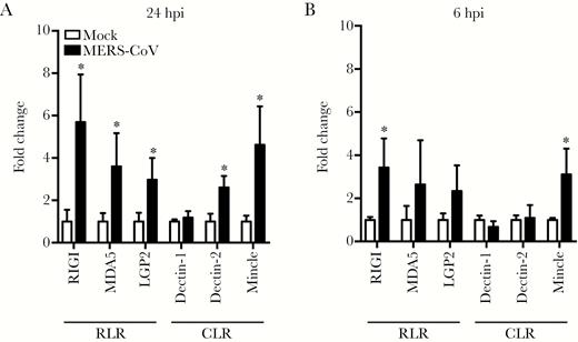 Retinoic acid-inducible gene (RIG)-I-like receptors (RLRs) and some C-type lectin receptors (CLRs) are inducible upon Middle East respiratory syndrome coronavirus (MERS-CoV) infection. At 24 hours postinfection (hpi) (A) and 6 hpi (B), the MERS-CoV-infected monocyte-derived macrophages (MDMs) and mock-infected cells were harvested for detection of messenger ribonucleic acid expression levels of RLRs and myeloid CLRs. Results show the fold change of glyceraldehyde 3-phosphate dehydrogenase-normalized expression level in the infected cells relative to that in the mock-infected cells. Data are presented as mean ± standard deviation of triplicate wells of MDMs from 3 different donors. Unpaired t test was used for data analysis. *, P < .05. MDA5, melanoma differentiation-associated gene 5; Mincle, macrophage-inducible Ca2+-dependent lectin receptor.