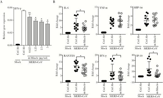 Antibody blockage of macrophage-inducible Ca2+-dependent lectin receptor (Mincle) diminished the proinflammatory response. (A) Middle East respiratory syndrome coronavirus (MERS-CoV)-infected monocyte-derived macrophages (MDMs) were treated with increasing concentrations of Mincle antibody or mouse immunoglobulin (Ig)G2B. At 24 hours postinfection (hpi), cell lysates were used for detecting interferon (IFN)-γ expression. Results show the glyceraldehyde 3-phosphate dehydrogenase (GAPDH)-normalized IFN-γ expression level in the treated or mock-treated cells relative to that in the mock-infected cells. Data are presented as mean ± standard deviation (SD) of triplicate wells of MDM from 2 different donors. (B) The MERS-CoV-infected MDMs were treated with 5 µg/mL anti-Mincle or IgG2B with same concentration. At 24 hpi, cell lysates were used for detecting the induction of proinflammatory response. Results show the fold change of GAPDH-normalized expression level in the treated or mock-treated infected cells relative to that in the mock-infected cells. Data are presented as mean ± SD of triplicate wells of MDMs from 4 different donors. Unpaired t test was used for data analysis. *, P < .05. IL-6, interleukin 6; MIP, macrophage-inflammatory protein; TNF, tumor necrosis factor.