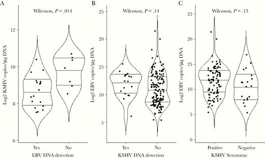 Comparison of KSHV and EBV loads. A, Of the 242 children tested for KSHV by ddPCR, only 25 were found to have detectable virus. The median log copies of KSHV/μg hDNA were compared between the 18 dually infected children and the 7 children without detectable EBV DNA (Wilcoxon, P = .014). B, Of the 242 children tested for EBV by ddPCR, 165 had detectable virus. The median log copies of EBV/μg hDNA were compared between the 18 children with detectable KSHV DNA (dually infected) and 147 children with no detectable KSHV DNA (Wilcoxon, P = .14). C, We stratified a subset of study participants (n = 114) by KSHV serostatus using the 7Agn-KSHV assay and compared EBV load measured by ddPCR. The median log copies of EBV/μg hDNA were compared between 95 KSHV seropositive and 19 seronegative individuals (Wilcoxon, P = .13). Centerlines represent medians, with lower and upper line representing first and third quartiles, respectively. Statistical analysis was performed using Wilcoxon rank sum test with continuity correction; P < .05 was considered significant after Benjamini-Hochberg correction for multiple comparisons. Abbreviations: ddPCR, droplet digital polymerase chain reaction; EBV, Epstein-Barr virus; KSHV, Kaposi sarcoma-associated herpesvirus.