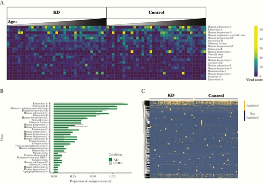 Detection of antiviral antibodies by VirScan. A, Heatmap of viral scores for detected viruses with the highest median viral scores. Cases and controls are in order (left to right) of increasing age. B, Frequency of samples testing “positive” for viral pathogens, defined by a viral score > 3 and antibody against an immunodominant epitope. Viruses present in at least 5% of Kawasaki disease (KD) samples are shown, and there were no significant differences between cohorts (Fisher exact test, all P values > .05). C, Heatmap depicting enrichment for antibodies against approximately 10 201 individual viral peptides detected in KD samples and controls. No individual peptide was enriched in KD samples vs controls (Fisher exact test, all samples with a Bonferroni-corrected P > .05).