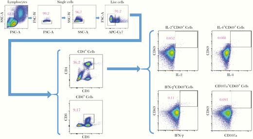 Representative flow cytometry gating strategy of a postvaccination sample. Abbreviations: APC-Cy7, allophycocyanin-indotricarbocyanine; FSC-A, forward scatter area; FSC-W, forward scatter width; IFN-γ, interferon gamma; IL-2, interleukin 2; IL-4, interleukin 4; SSC-A, side scatter area; SSC-W, side scatter width.