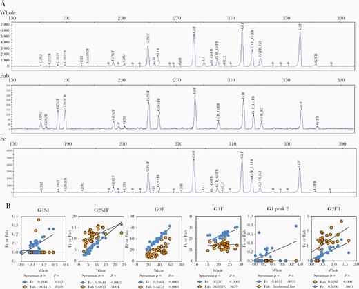 Associations between Fc, Fab, and whole IgG glycans in tuberculosis. A, Representative plots generated via capillary electrophoresis of samples from individuals with latent (n = 10) or active (n = 20) tuberculosis are shown for glycans isolated from whole, Fab domain, and Fc domain IgG. Peaks are identified by alignment with standards and relative abundance is calculated by peak areas via GlycanAssure Data Acquisition Software v.1.0. B, Prominent peaks from the Fc and Fab domain were correlated by Spearman rank order to whole IgG. Rho (ρ) and P values are indicated. Abbreviations: G0, agalactosylated; G1, monogalactosylated; G2, digalactosylated.