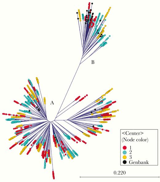 Radial phylogram showing all hepatitis C virus (HCV) genotype 1a (n = 128; n = 3622 haplotypes) and genotype 1b (n = 22; n = 602 haplotypes) isolates at baseline, with color coding to indicate opioid treatment program center.