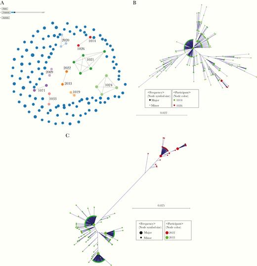 Transmission clusters identified using Global Hepatitis Outbreak and Surveillance Technology (GHOST). A, Blue circles indicate participants not related to anyone else in the network. The size of the circle is proportional to the number of different haplotypes found in the participants. Connected circles of the same color represent follow-up specimens from the same participants or transmission if they link different participants.. Two pairs were linked by transmission at baseline (pairs 1014-1026 and 2022-2033). B, Baseline transmission cluster of participants 1014 and 1026 (n = 449 haplotypes; frequency, >2). C, Baseline transmission cluster of participants 2022 and 2033 (n = 449 haplotypes; frequency, >5).