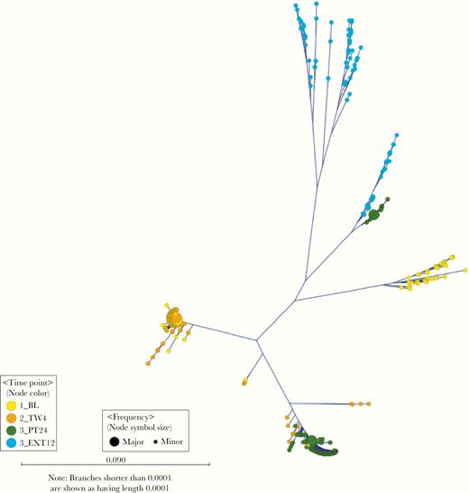 Phylogenetic tree of hepatitis C virus hypervariable region 1 variants sampled from participant 1019 at different time points (n = 730 haplotypes; frequency, >5), in whom sofosbuvir-ribavirin treatment failed.