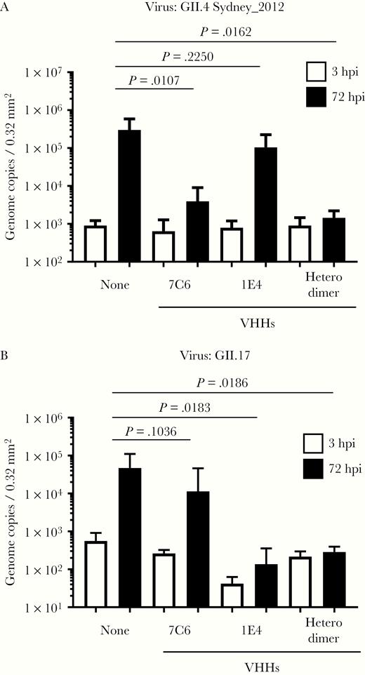Neutralization of GII.4 and GII.17 human noroviruses by variable-domain heavy-chain antibody fragments (VHHs) 7C6, 1E4, and their heterodimer. We incubated 2 × 106 genome equivalents of GII.4 Sydney_2012 (A) or GII.17_Kawasaki308 (B) human norovirus with 5 µg of the indicated VHH for 2 hours before using the noroviruses to inoculate human intestinal epithelial cells (IECs). After inoculation for 3 hours, the IECs were cultured for 72 hours in differentiation medium with bile supplementation. Viral genome RNA was extracted from the supernatants at 3 and 72 hours postinfection (hpi), and then genome equivalents were quantified with real-time PCR. Each value is representative of at least 3 independent experiments and data are shown as the mean ± 1 SD of 4–6 wells of supernatant from each culture group.