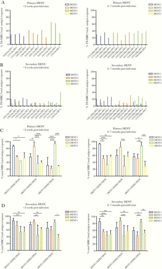 Analysis of serotype specificity of type-specific and cross-reactive memory B-cell (MBC) responses. Proportion of dengue virus (DENV) type-specific MBCs recognizing DENV1–4 after (A) primary and (B) secondary infection at ~2 weeks (left panel) and 6–7 months (right panel) postinfection. Proportion of total type-specific and cross-reactive responses to DENV1–4 after (C) primary and (D) secondary DENV infections at ~2 weeks (left panel) and 6–7 months (right panel) postinfection. The mean and standard deviation are shown for C and D. Significance was determined by a two-way analysis of variance multiple comparisons test: *, P < .05; **, P < .01; ***, P < .001; ****, P < .0001. Primary DENV1, n = 4; primary DENV2, n = 5; primary DENV3, n = 3 at ~2 weeks postinfection and primary DENV1, n = 4; primary DENV2, n = 5, and primary DENV3, n = 4 at 6–7 months postinfection. Secondary DENV1, n = 5; secondary DENV2, n = 4; and secondary DENV3, n = 4 at ~2 weeks postinfection and secondary DENV1, n = 5; secondary DENV2, n = 4; and secondary DENV3, n = 4 at 6–7 months postinfection.