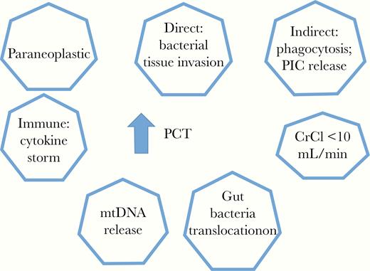 Major variables that can result in elevation of serum levels of procalcitonin (PCT). Abbreviations: CrCl, creatinine clearance; mtDNA, mitochondrial DNA; PIC, proinflammatory cytokine.