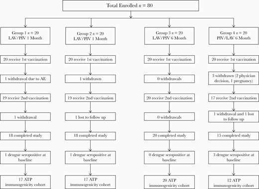 Enrollment scheme: group 1, LAV day 0/PIV day 28; group 2, PIV day 0/LAV day 28; group 3, LAV day 0/PIV day 180; group 4, PIV day 0/LAV day 180. Abbreviations: ATP, according to protocol; LAV, live attenuated vaccine; PIV, purified inactivated vaccine.