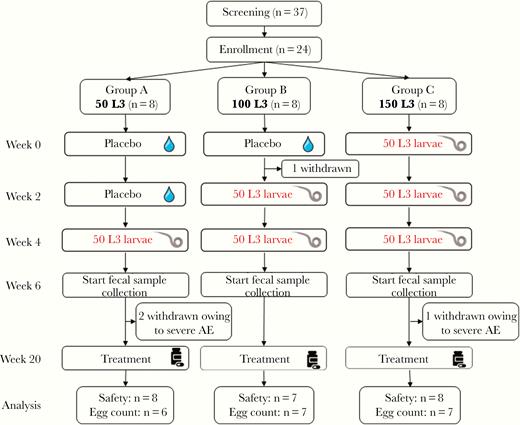 Trial set-up and flow chart. Abbreviation: AE, adverse event.