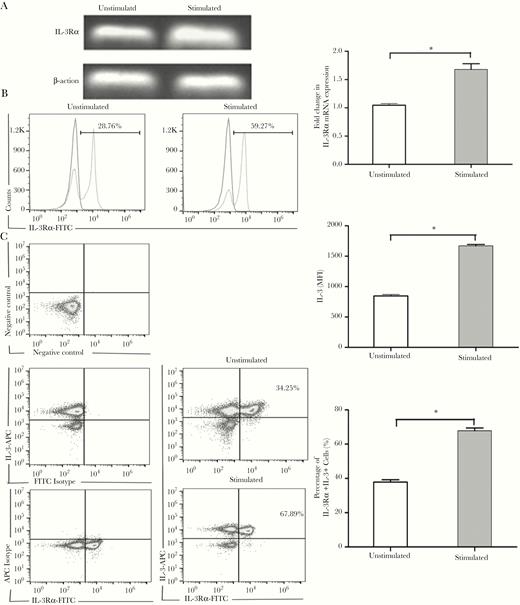 Expression of IL-3Rα on Tregs. Tregs isolated from splenocytes were stimulated with anti-CD3 (2 μg/mL) and anti-CD28 (5 μg/mL) mAbs for 72 hours. IL-3Rα (CD123) gene expression in isolated Tregs was examined by RT-PCR. Representative results from 3 independent experiments and the calculated ratios of IL-3Rα to β-actin are shown in (A). The expression of IL-3Rα on isolated Tregs was analyzed by flow cytometry with surface labeling for IL-3Rα. Representative results and calculated MFI of IL-3Rα expression are shown in (B). Coexpression of surface IL-3Rα and intracytoplasmic IL-3 was examined. Representative results are shown in (C). All values are mean ± SEM. * P < .05 for stimulated vs unstimulated group. Abbreviations: APC, allophycocyanin; IL-3Rα, interleukin-3 receptor α; mAb, monoclonal antibody; FITC, fluorescein isothiocyanate; MFI, mean fluorescence intensity; RT-PCR, reverse transcription polymerase chain reaction; SEM, standard error of the mean; Tregs, T regulatory cell.