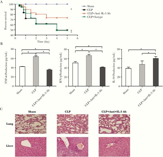 Anti-IL-3 treatment mitigates inflammatory response, alleviates histopathology damage, and improves the survival rate in septic mice. Mice were injected with anti-IL-3 Ab or isotype control via tail vein at 2, 6, and 12 hours after CLP surgery. To determine survival, mice were monitored every 12 hours for 5 consecutive days as shown in (A). Serum TNF-α, IFN-γ, and IL-10 levels were measured using ELISA kits (B). Pulmonary and liver samples were obtained and stained for H&E histopathology (original magnification × 200) (C). All values represent mean ± SEM. Sham operation was performed by isolating the cecum without ligation and puncture. *P < .05. Abbreviations: Ab, antibody; CLP, cecal ligation and puncture; ELISA, enzyme-linked immunosorbent assay; IFN-γ, interferon-γ; IL-3, interleukin-3; SEM, standard error of the mean; TNF-α, tumor necrosis factor-α.