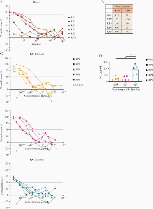 Purified immunoglobulin (Ig) M, IgG, and IgA fractions display neutralizing activities against severe acute respiratory syndrome coronavirus 2. A, Neutralization of COV2pp in plasma samples from 5 individuals infected with coronavirus disease 2019 (COVID-19) (RP1–5) compared to a specimen from a COVID-19–uninfected individual (RN1; green circles). Plasma samples were tested at 4-fold dilutions from 1:10 to 1:40 960 or 1:20 to 1:81 920. Data are shown as the mean percentage of neutralization; dotted horizontal lines highlight 50% and 90% neutralization. B, Reciprocal median inhibitory concentration (IC50) and 90% inhibitory concentration (IC90) neutralization titers of RP1–5 plasma samples. C, Neutralization of COV2pp by purified IgM, IgG, and IgA fractions from 5 COVID-19–infected individuals (RP1–5) compared with a control immunoglobulin fraction (open gray triangles). IgA was isolated first from plasma samples by mixing 1:2 diluted plasma with peptide M agarose beads (600 µL/28 mL plasma; InvivoGen GEL-PDM) for 1.5 hours at room temperature. After washing of beads, IgA was eluted with a pH 2.8 buffer (Thermo Scientific no. 21004) and neutralized with pH 9 Tris buffer. The pass-through plasma sample was collected for IgG enrichment using protein G agarose beads (InvivoGen GEL-AGG) and subsequently for IgM isolation using a HiTrap IgM column (GE Healthcare; no. 17-5110-01). An additional purification step was performed using Protein A Plus mini-spin columns to separate IgG from IgM. The fractions were tested at 4-fold dilutions from 500 to 0.02 µg/mL. Data are shown as the mean percentage of neutralization; dotted horizontal lines highlight 50% neutralization. D, IC50 of purified IgM, IgG, and IgA fractions from RP1–5. Statistical significance was determined with a 2-tailed Mann-Whitney test. *P < .05; †P < .01.