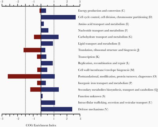 Cluster of orthologous groups (COG) enrichment for differentially regulated genes in Acinetobacter baumannii ATCC 17978 and AbH12O-A2 strains. Positive values refer in vivo upregulated genes when compared with in vitro conditions. Negative values refer to downregulated genes.