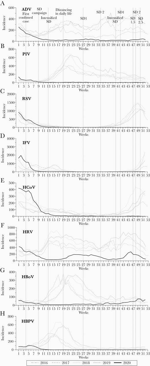 A–H, Monthly incidence of respiratory viruses in outpatients from the national surveillance system for influenza and respiratory viruses, South Korea, 2016–2019 vs 2020. Abbreviations: ADV, adenovirus; HBoV, human bocavirus; HCoV, human coronavirus (non–severe acute respiratory syndrome coronavirus 2); HMPV, human metapneumovirus; HRV, human rhinovirus; IFV, influenza virus; PIV, parainfluenza virus; RSV, respiratory syncytial virus; SD, social distancing.