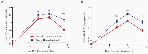 Psychosocial stress increases the plasma and cerebrospinal fluid (CSF) viral load in acute simian immunodeficiency virus (SIV) infection. Simian immunodeficiency virus viral load in plasma (A) and CSF (B) were quantified utilizing quantitative reverse-transcriptase polymerase chain reaction. Linear-mixed effects regression model. Statistics depicted in figure represent significance of difference between singly and socially housed animals at each time point. *, P ≤ .05; **, P ≤ .01; and ***, P ≤ .001. Circles connected by a solid line (red) indicate socially housed animals (N = 41 for all time points), whereas squares connected by a dashed line (blue) represent singly housed animals (N = 35 for the preinoculation and days 7 and 10 postinoculation; N = 17 for plasma viral load and N = 14 for CSF viral load for day 14 postinoculation). Error bars represent the standard error of the least square mean estimates generated by the linear mixed-effects regression model. Antiretroviral therapy initiated on day 12 postinoculation.