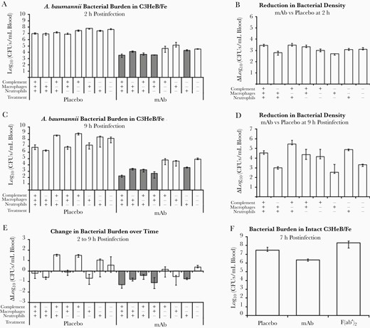 Mice depleted of innate effectors and treated with mAb C8 were able to maintain or reduce bacterial burden between 2 and 9 hours postinfection; however, some still succumbed to the infection. Mice were depleted of 0, 1, 2, or 3 innate effectors, infected IV with 2×107 CFU Acinetobacter baumannii HUMC1, and treated with placebo or 5 μg mAb (same set of mice as in Figure 2 and Figure 5). Mice were evaluated for bacterial burden in the blood at 2 hours postinfection (A) and 9 hours postinfection (C). Change in bacterial density with mAb treatment at 2 hours postinfection (B) and 9 hours postinfection (D). E, Change in bacterial burden over time, subtracting log-transformed bacterial densities in mice at 2 hours postinfection from levels in mice at 9 hours postinfection. n = 4–9 mice per group; multiple experiments combined. Gray shading indicates mouse groups that achieved >80% survival as shown in Figure 1. F, Mice were infected IV with 2×107 CFU A. baumannii HUMC1 and treated with placebo, 1 μg mAb, or 1 μg F(ab′)2. P < .05 compared to placebo- and F(ab′)2-treated mice. All plots show medians and interquartile ranges. Abbreviations: CFU, colony-forming unit; IV, intravenously; mAb, monoclonal antibody.