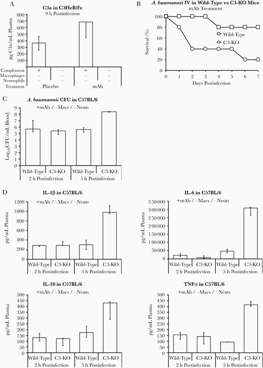 mAb modulates inflammation through complement C3 to improve survival during Acinetobacter baumannii bacteremia. A, Mice (n = 5–8 mice per group) were depleted of macrophages and neutrophils, infected IV with 2×107 CFU A. baumannii HUMC1, and treated with placebo or 5 μg mAb. ELISA of complement C3a shows that mice were able to convert more C3 to C3a when treated with mAb compared to placebo (same mice as in Figure 2E and 2H). B–D, Wild-type and C3-KO mice (n = 5 per group) were depleted of macrophages and neutrophils, infected IV with 1×107 CFU A. baumannii HUMC1, and treated with 5 μg mAb. B, Knocking out C3 considerably diminished mAb-mediated protection from A. baumannii infection. Blood was harvested at 2 and 9 hours postinfection and plasma cytokine levels were determined by multiplex Luminex assay. C, Bacterial burden in mAb-treated mice was similar among the 2 groups at 2 hours postinfection but by 5 hours postinfection CFU/mL blood had increased only in the C3-KO mice. D, Likewise, pro- and anti-inflammatory cytokines were similar among the 2 groups at 2 hours postinfection but again by 5 hours postinfection cytokines had increased only in the C3-KO mice. A, C, and D, Plots show medians and interquartile ranges. Abbreviations: CFU, colony-forming unit; ELISA, enzyme-linked immunosorbent assay; IL, interleukin; IV, intravenously; KO, knock out; mAb, monoclonal antibody; Macs, macrophages; Neuts, neutrophils.